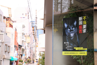Illustration for article titled Japanese Cats that Look Like Yakuza Are Frighteningly Cute